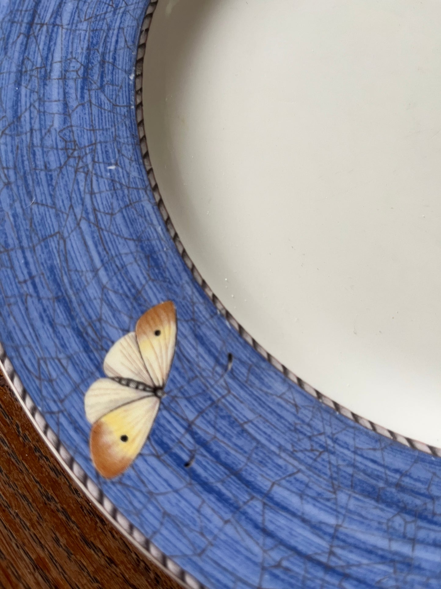 Sarah‘s Garden Wedgwood 6 große Speiseteller 27,5 cm
