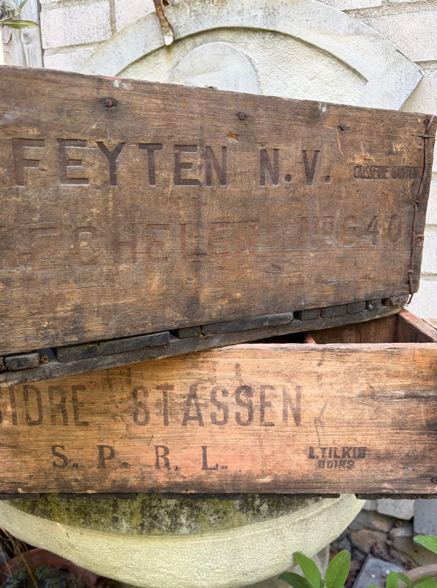 XL - Alte und schwere belgische Flaschenkiste Holz