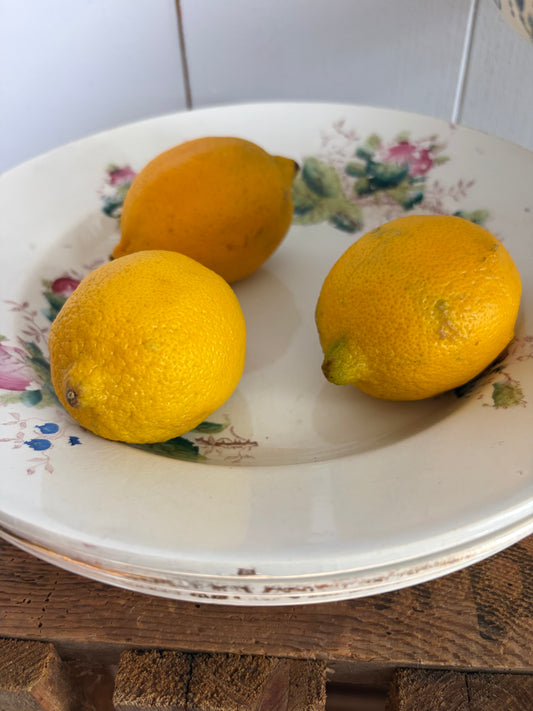 3 vintage belgische Teller mit Blumendekor