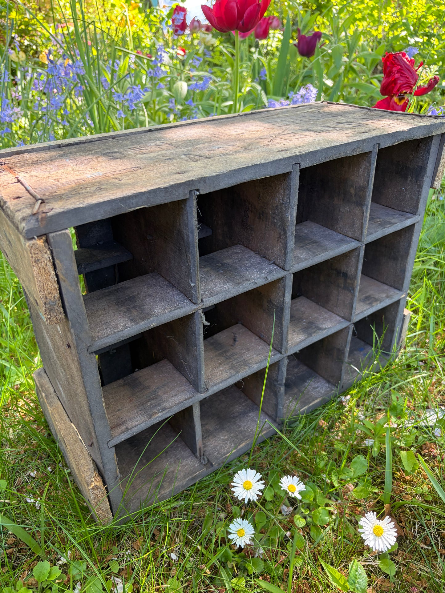 XL - Alte und schwere belgische Flaschenkiste Holz