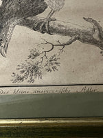 Load image into Gallery viewer, Alte Gravur gerahmt - kleiner amerikanischer Adler

